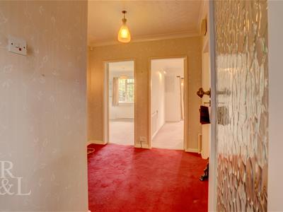 Picture 20